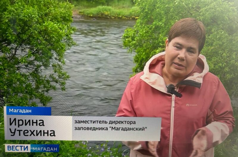 Изучение гнезд белоплечих орланов