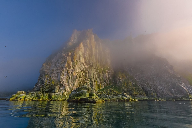 2 февраля — Международный день водно-болотных угодий 