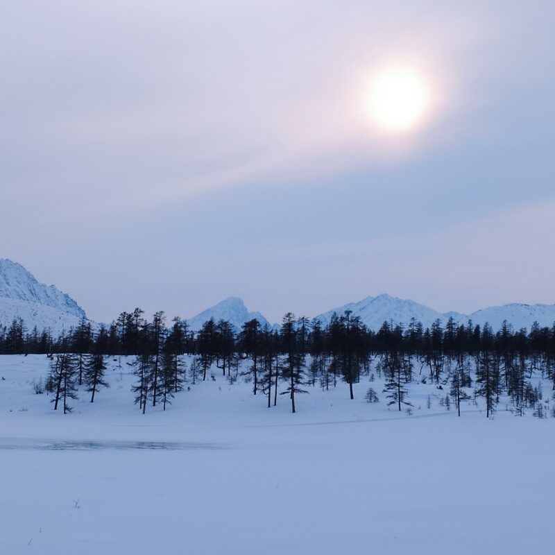 Завершились зимние маршрутные учеты
